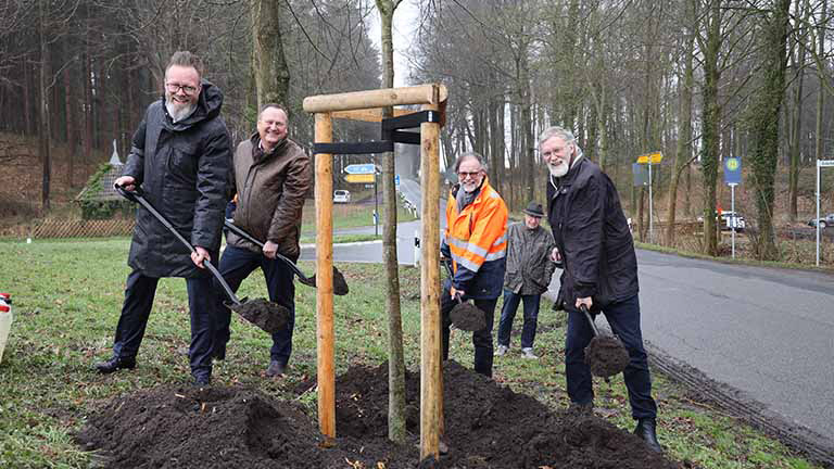 Vier Personen pflanzen einen Baum an der Straße