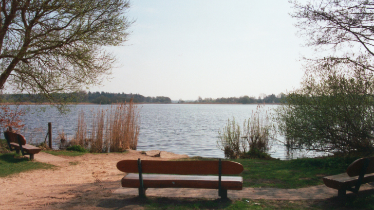 Bänke am Fockbeker See