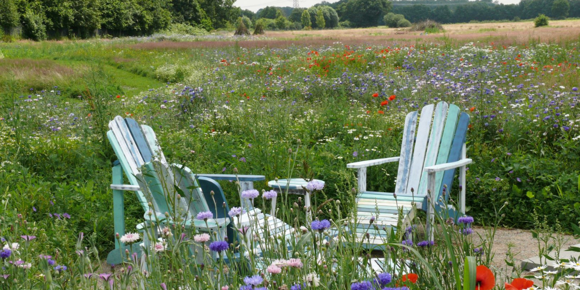 Landschaft mit Blühwiesen und Sitzplatz