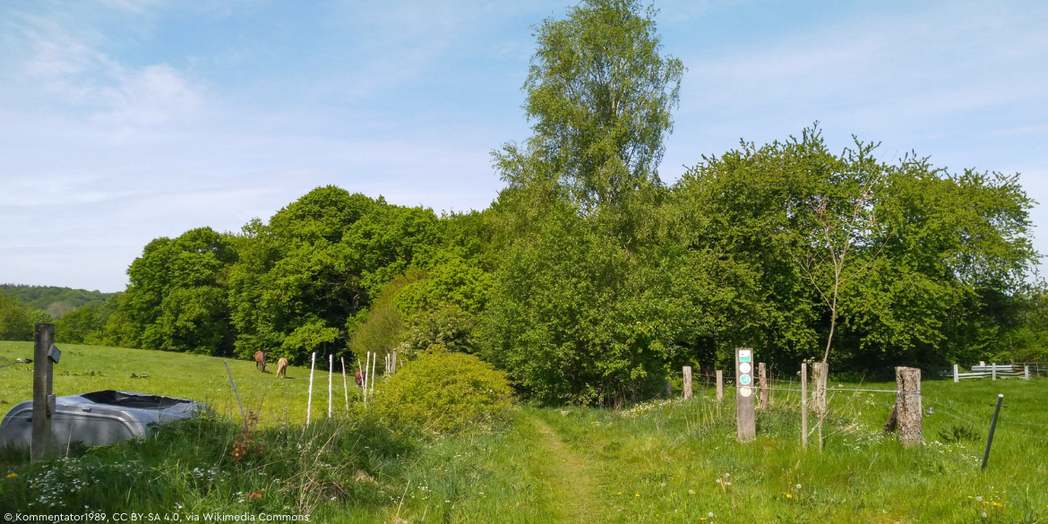 Südzugang zum Gehege Holzkoppel von der Straße Fresenboje