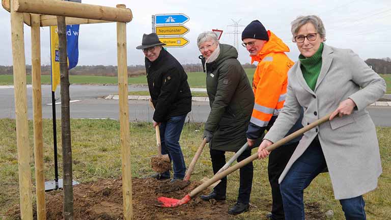Vier Personen pflanzen einen Baum an der Straße